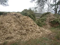mulch 2025.webp mulch 2025.webp