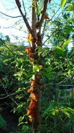 DSC04450.webp