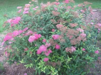 unknown.webp