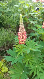 20240515_073126.webp