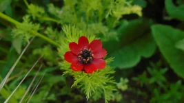 DSC04565.webp