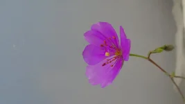 DSC04799.webp