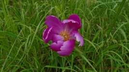 DSC04930.webp