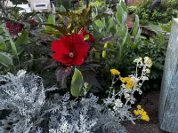 IMG_2797.webp