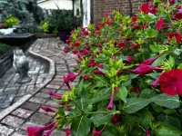 IMG_2790.webp