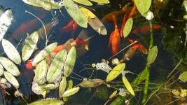 DSC05090.webp