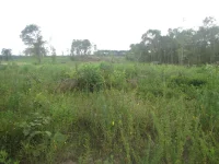 new property 3.webp new property 3.webp