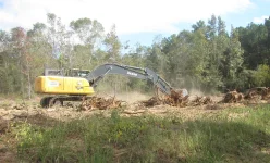 digging stumps.webp