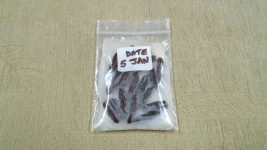 DSC08100.webp