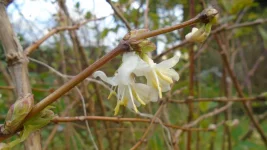 DSC08175.webp