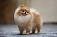 1739231651129.webp