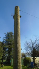 DSC08603.webp