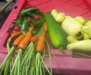 jalapenos first and mixed.webp