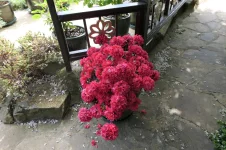 P1030201.webp
