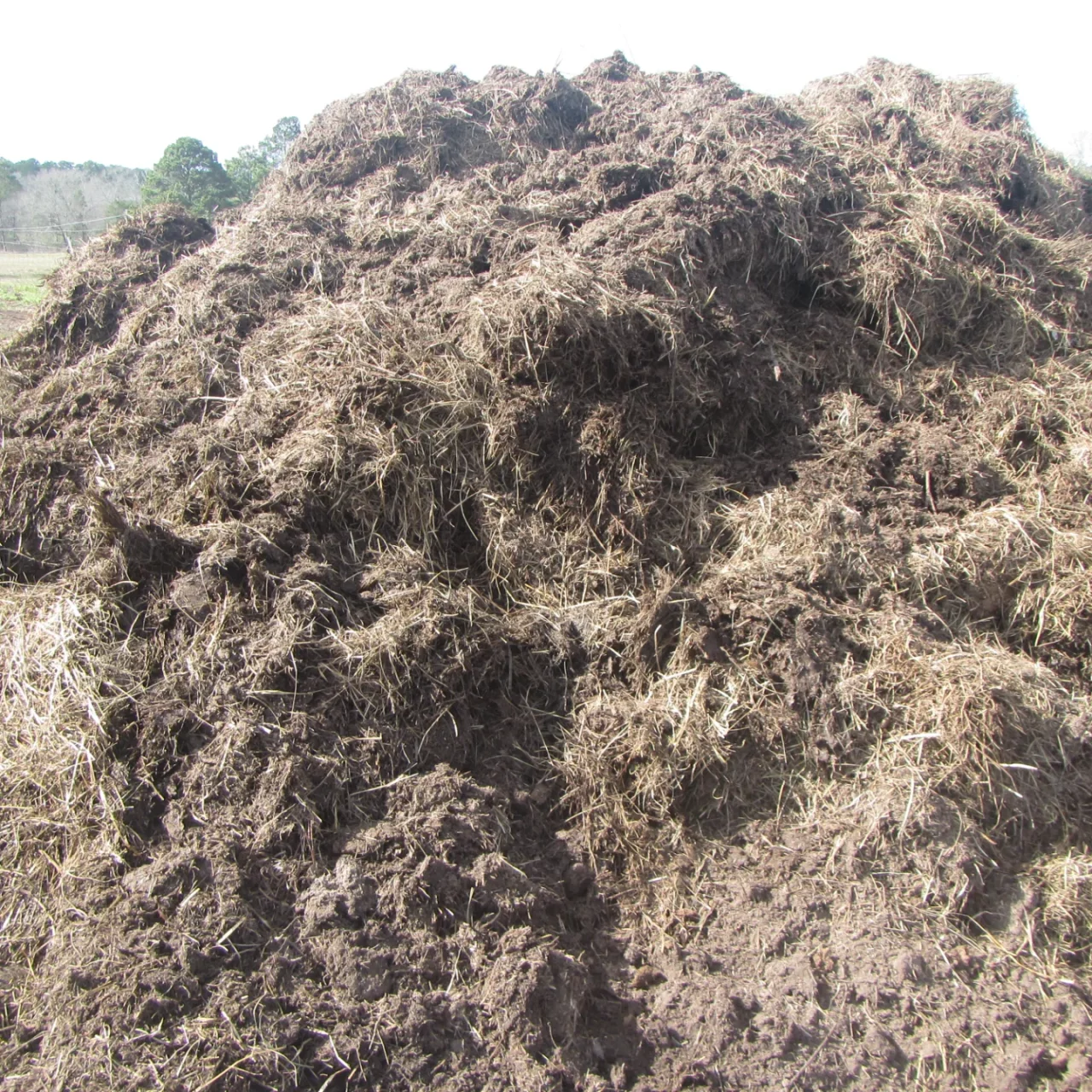 Thread 'Symbiotic Compost'