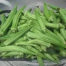 General Okra Information