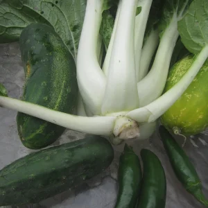 bok choy, late cucks peppers.webp