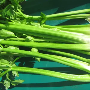 celery bundle.webp