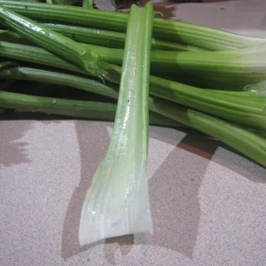 celery stalk 2025.webp