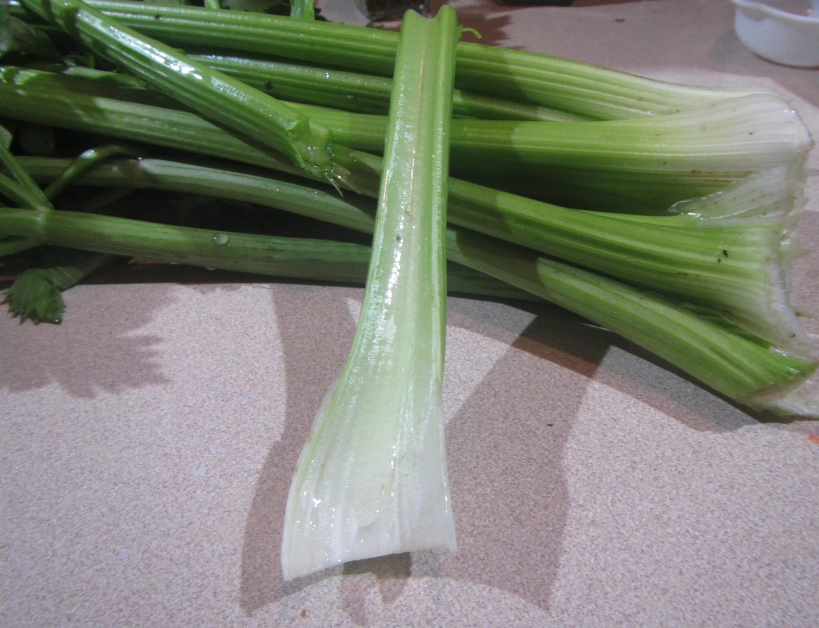 celery stalk 2025.webp