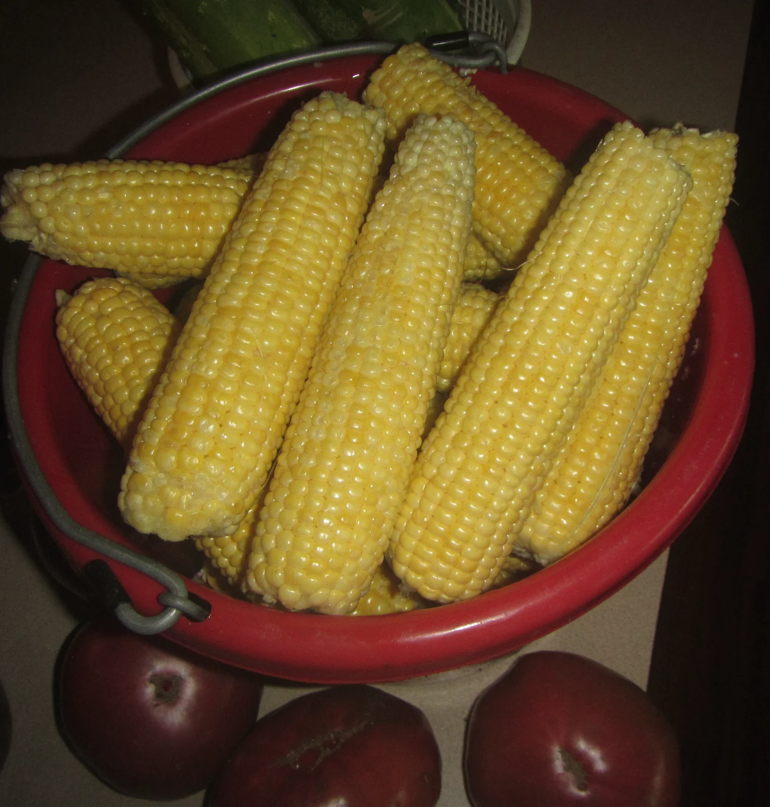corn first picking.webp