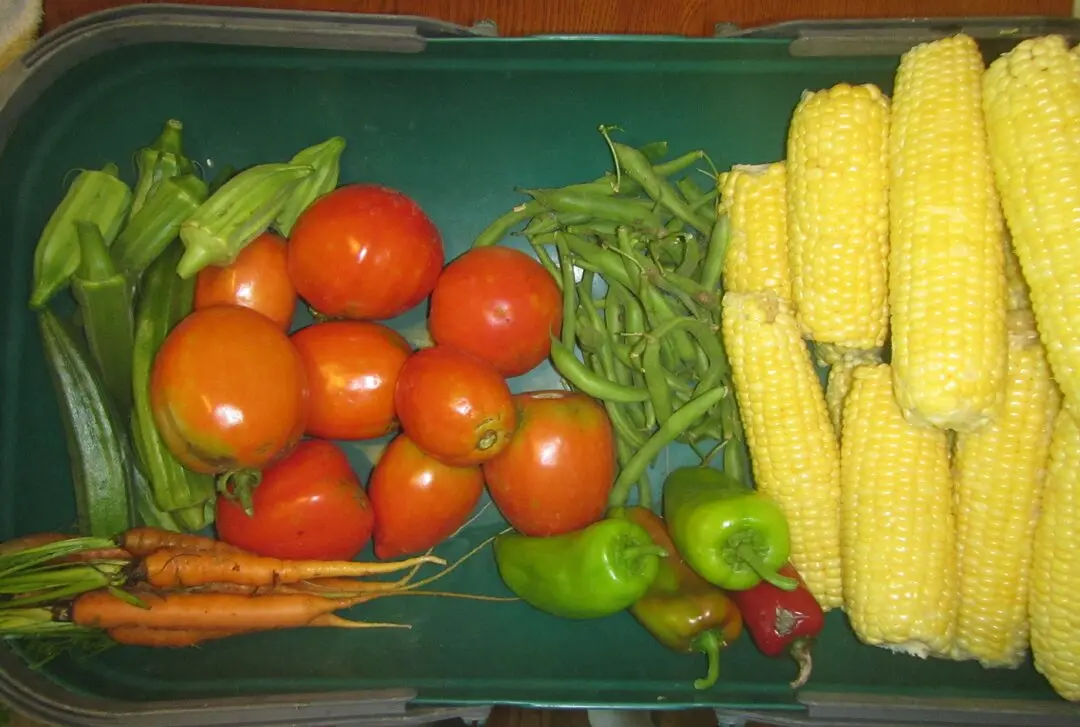 corn, green beans, peppers, tomatoes, carrots, and okra.webp