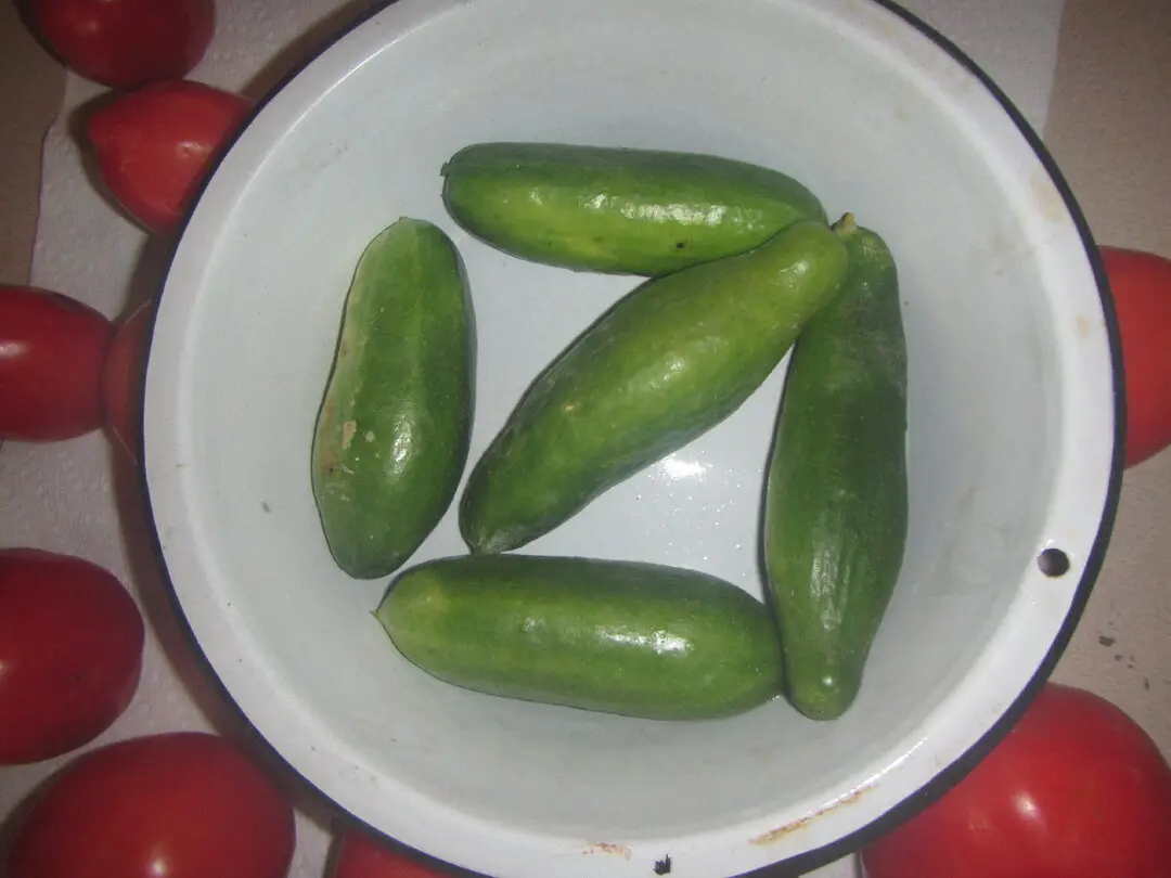 English Cucumbers.webp