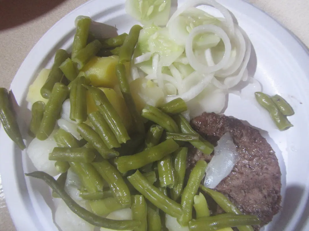 green beans for lunch.webp