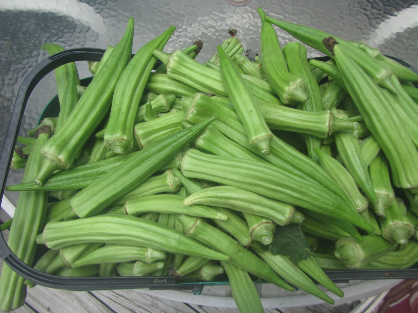 jambalaya okra.webp