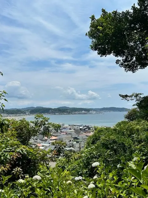 japan 1.webp